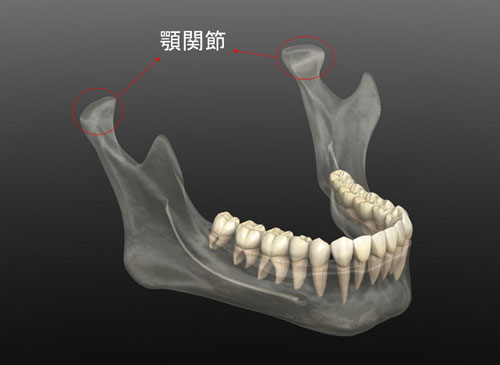 たまプラーザのロイヤル歯科医院の顎関節症